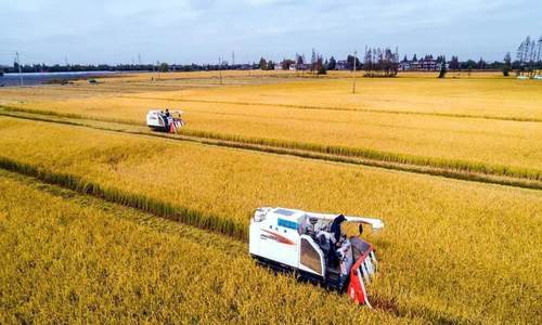 海南出台严格管控耕地“非粮化”稳定粮食生产十条措施