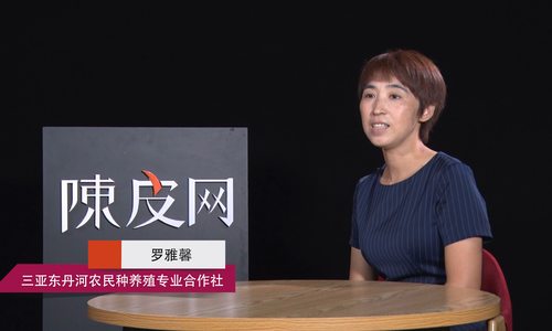 创业进行时|三亚东丹河种养殖，带动社员致富共造科创新未来