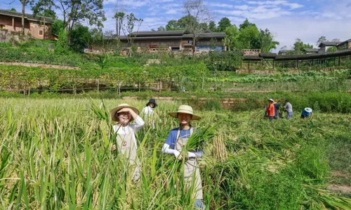 为振兴路上的乡村留住乡愁