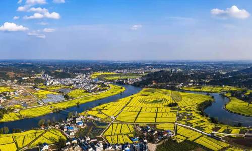 重庆市潼南区  打造爱农业、懂技术、善经营的乡村人才队伍