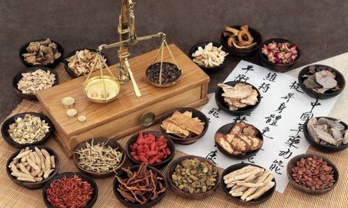中华瑰宝焕新彩——中医药传承创新发展提质增速