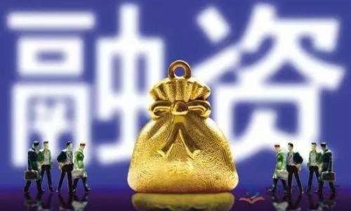 “小象大鹅”香港公司获B站、快手数亿元注资