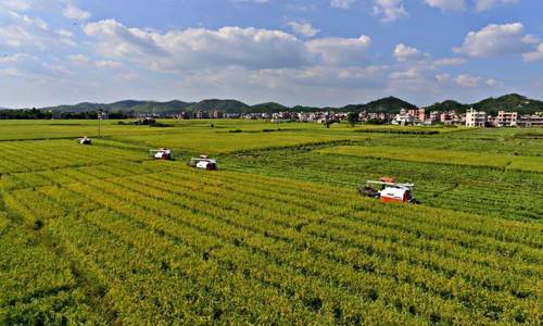 强化现代农业科技和物质装备支撑（牢牢把住粮食安全主动权）