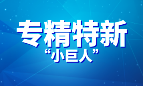 海口拟出新政：首次获专精特新