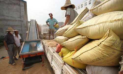 山东省新小麦收购均价上涨25% 确保好粮有好价