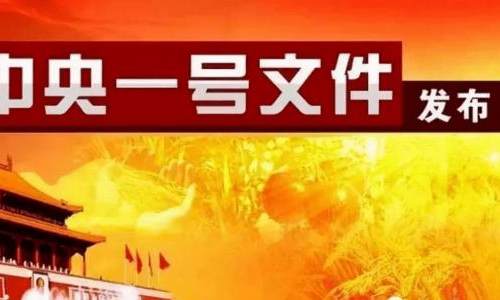 2021年中央一号文件公布 提出全面推进乡村振兴