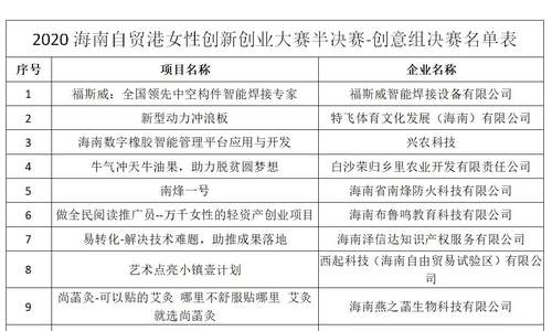  2020海南自贸港女性创新创业大赛半决赛 创意组评审结果公布