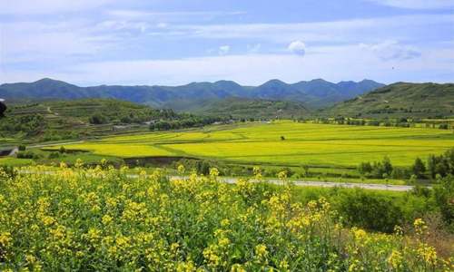 多部门发布：加大对国家乡村振兴重点帮扶县的金融资源倾斜