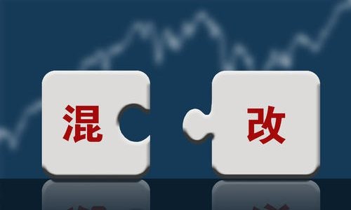 第四批混改试点大扩容  企业超过100家