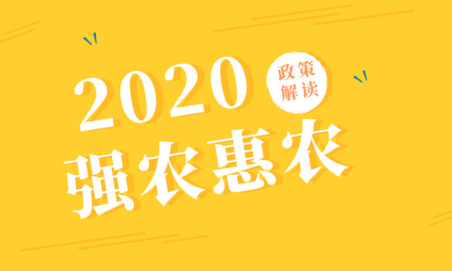 2020年强农惠农政策解读