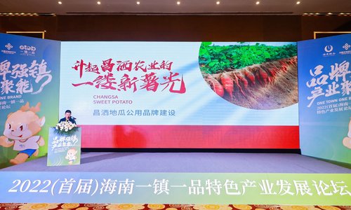 昌洒镇出席海南一镇一品特色产业发展论坛，推出沙土地孕育的特色地瓜产业