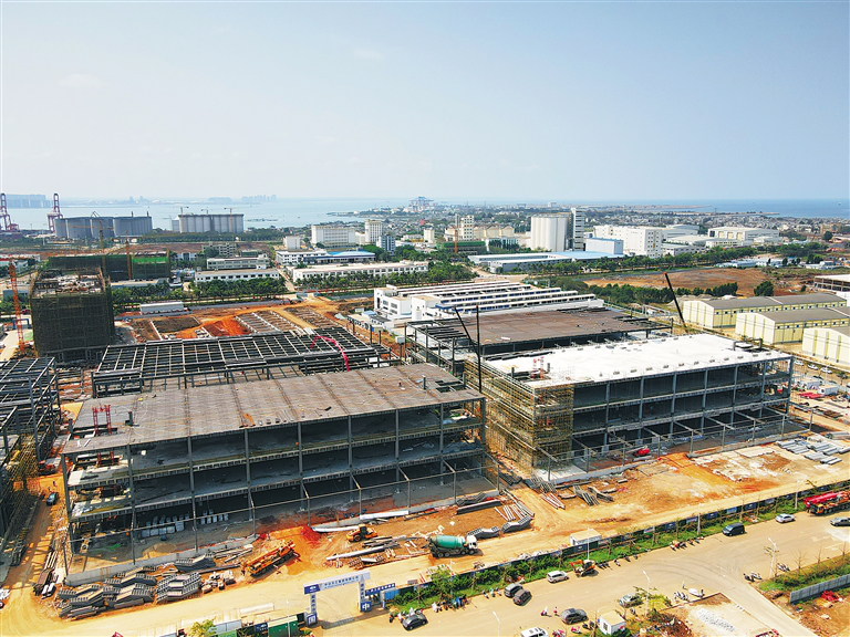 海南洋浦：8大项目集中开工 总投资17.84亿元