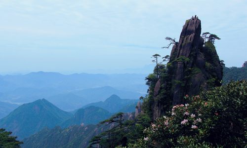 在线旅游订单退改纠纷缘何居高不下