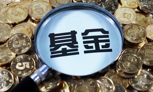 2021年新成立基金达118只 至少44只基金将限购