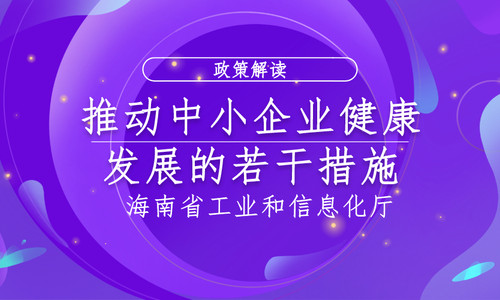 海南省促进中小企业发展工作领导小组关于推动中小企业健康发展的若干措施（暂行）解读